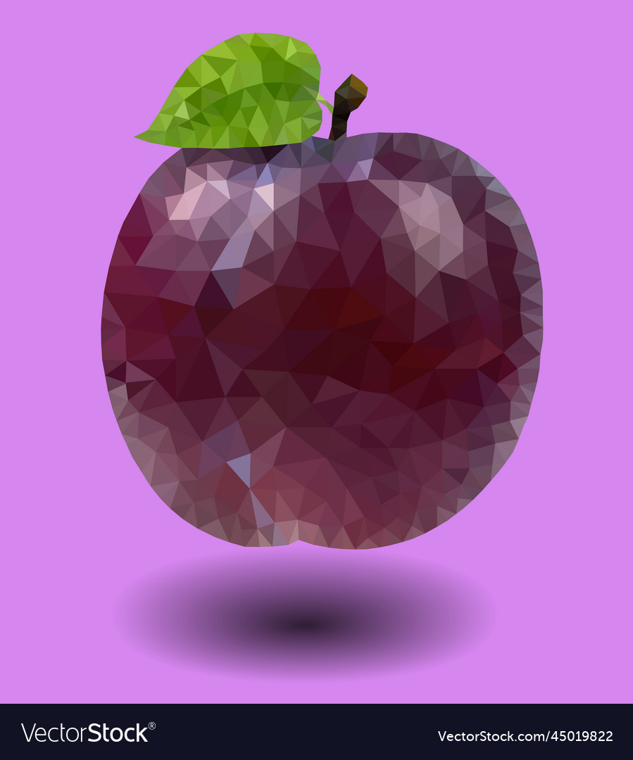 Fresh nutritious tasty plum Royalty Free Vector Image