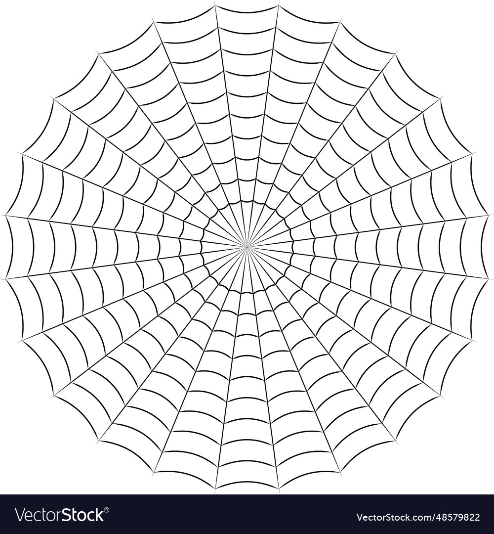 Round spider cobweb simple linear stock