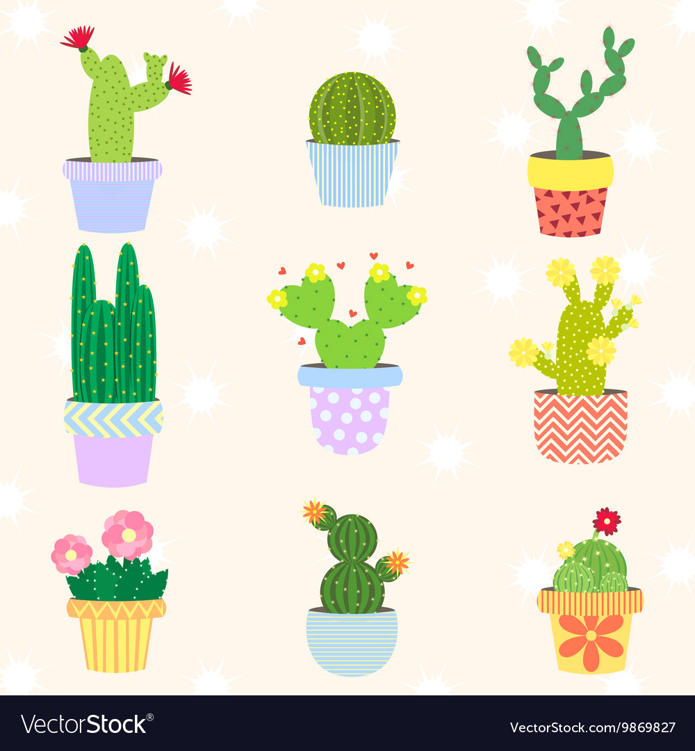 Charming Cactus Trio in Pots