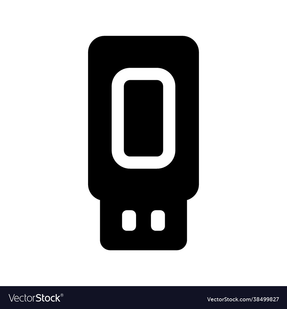 Flash disk icon vector image Flash disk icon
