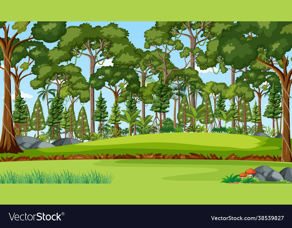 Forest scene with various trees Vector Image Forest scene with various trees