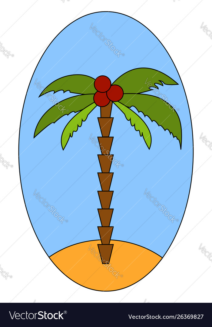 Palm tree with coconut on white background