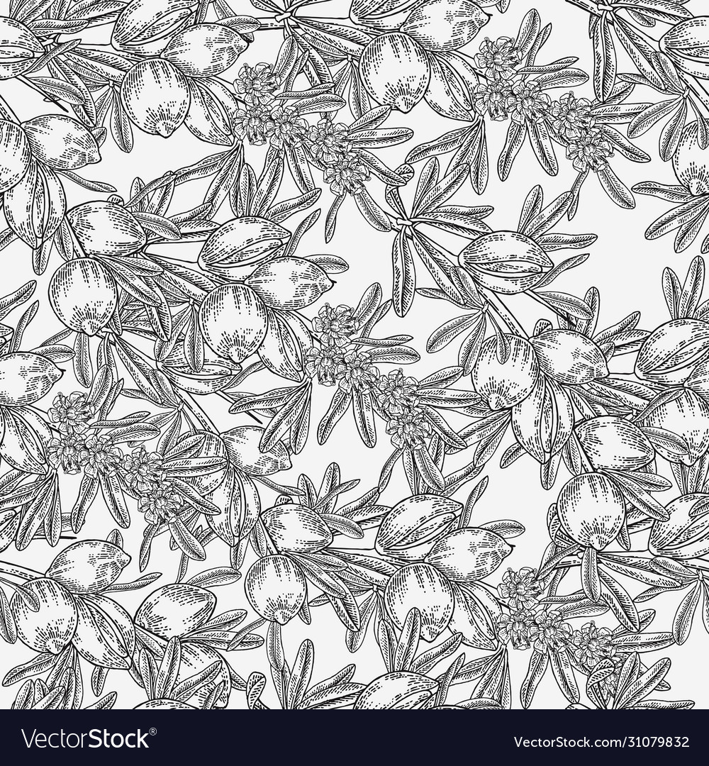 Argan tree argania seamless pattern flowers nuts