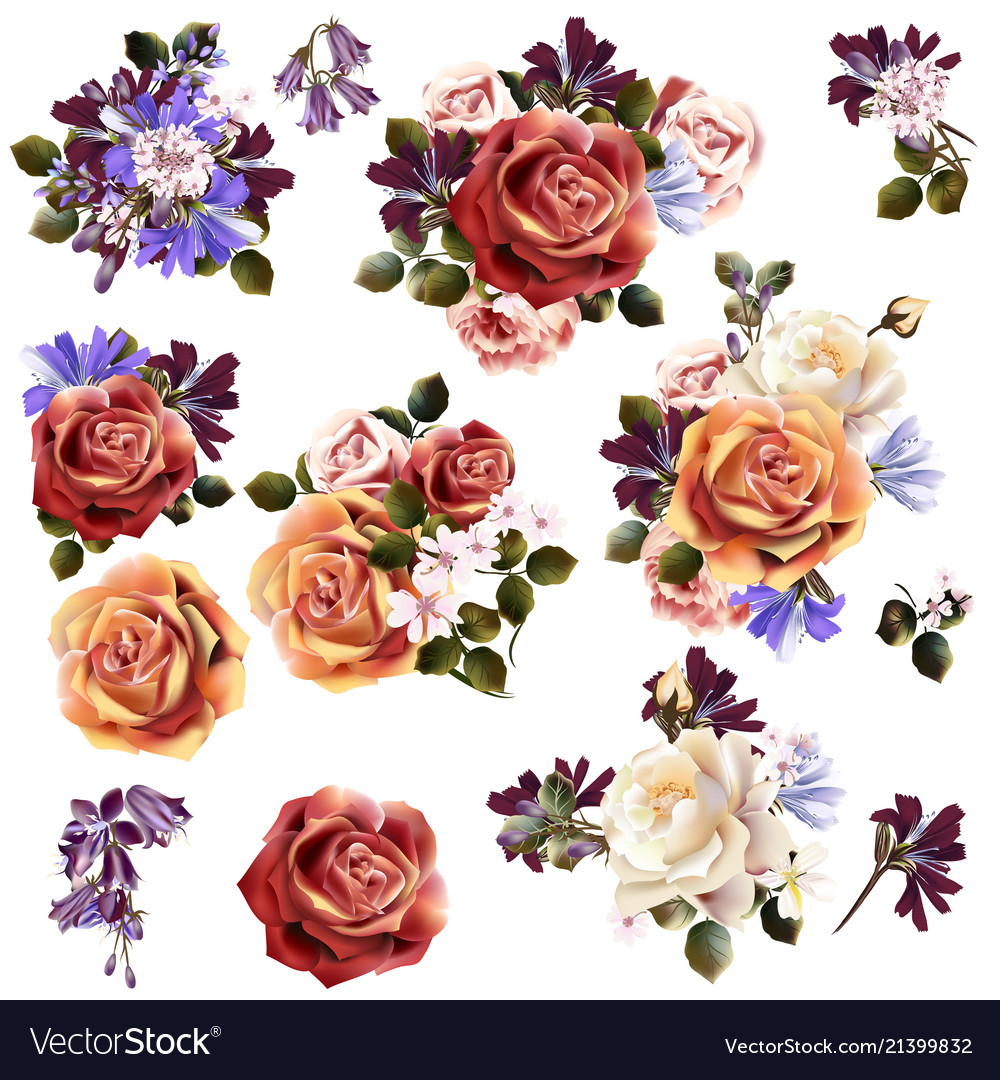 Beautiful collection of rose flowers Royalty Free Vector