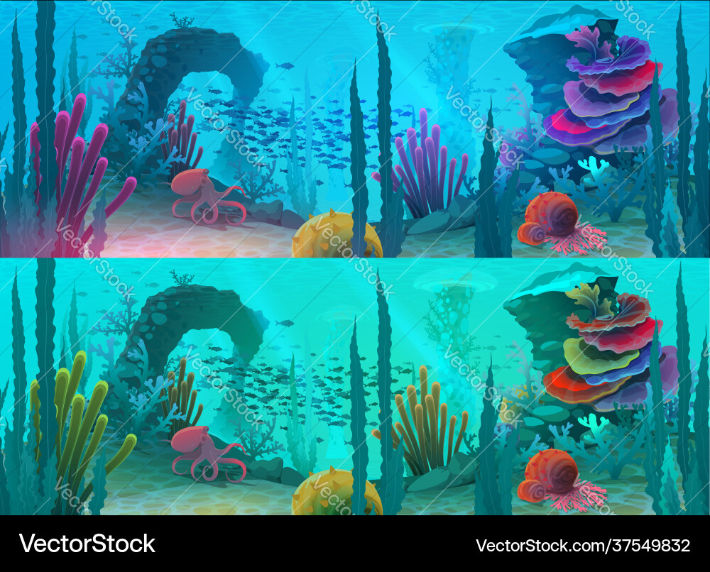 Ocean or sea underwater background fish reef Vector Image