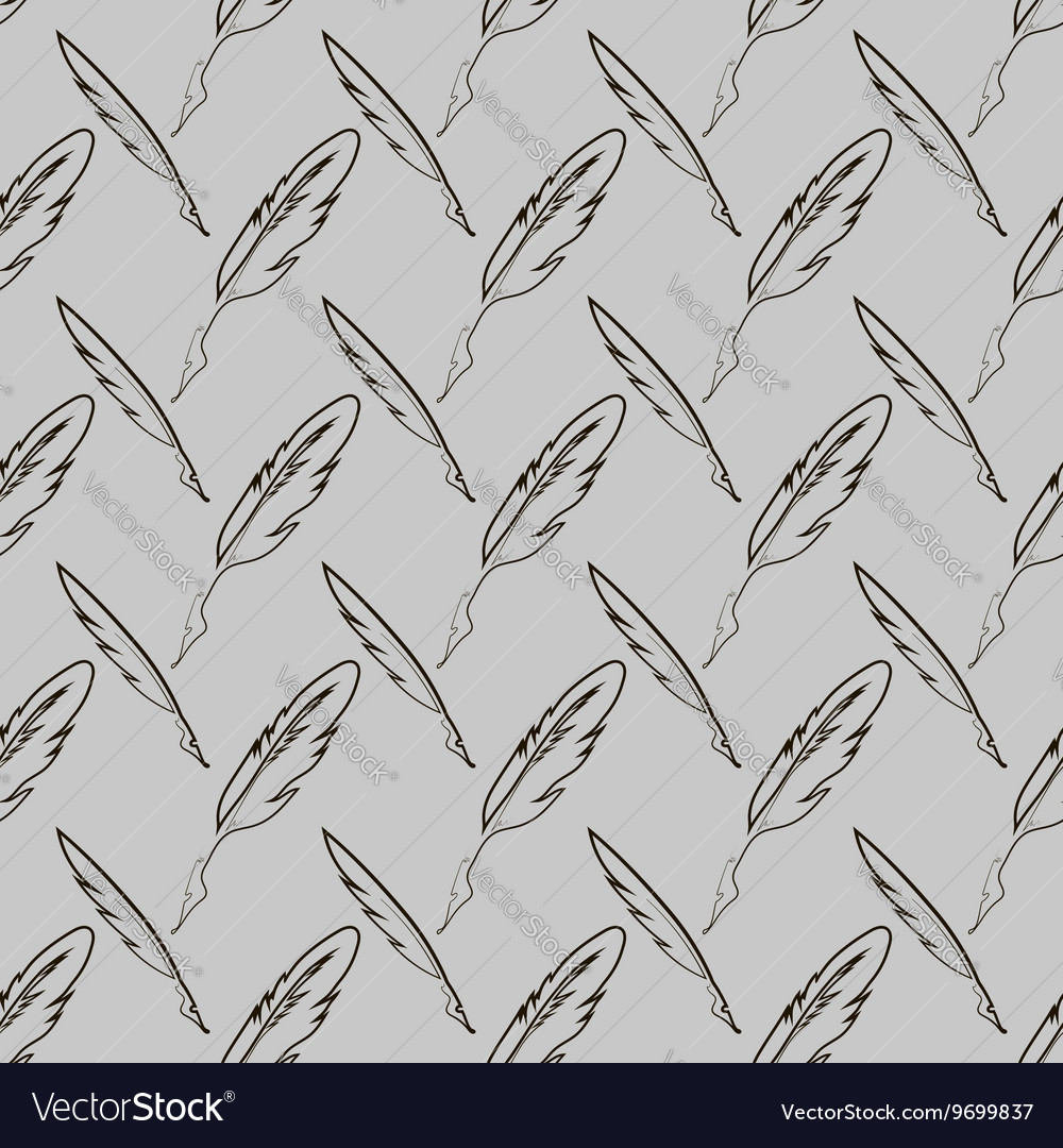 Set of different feathers