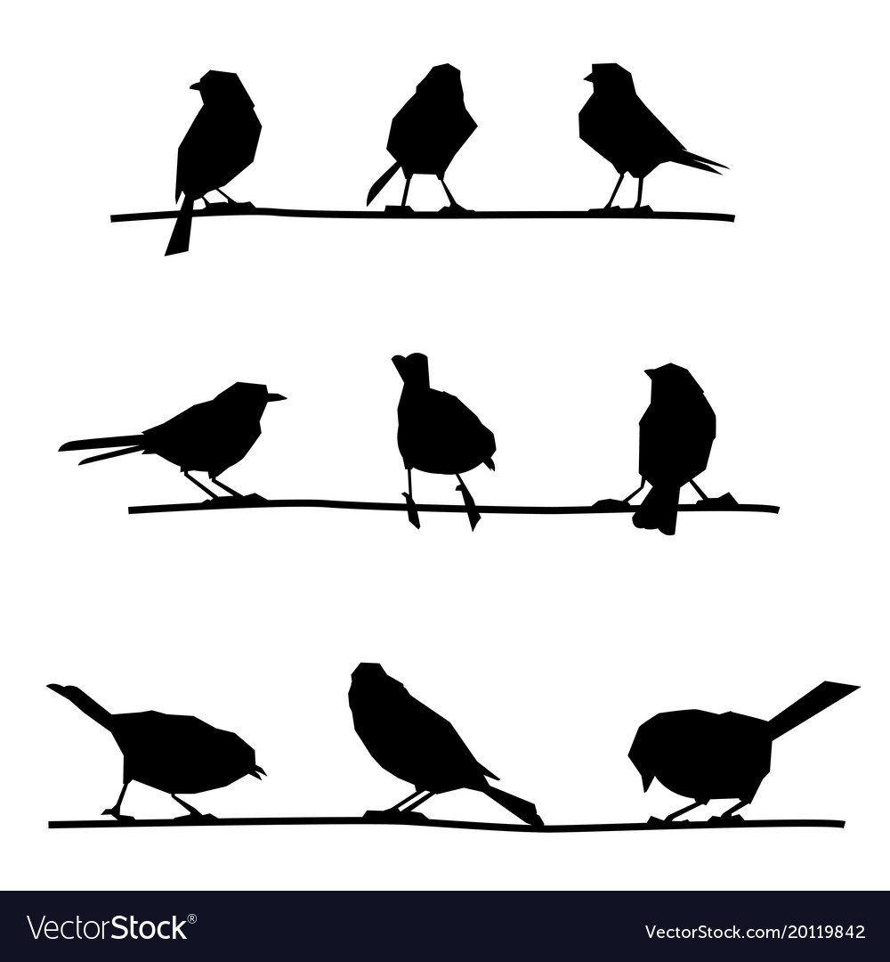 Birds on branches Royalty Free Vector Image - VectorStock