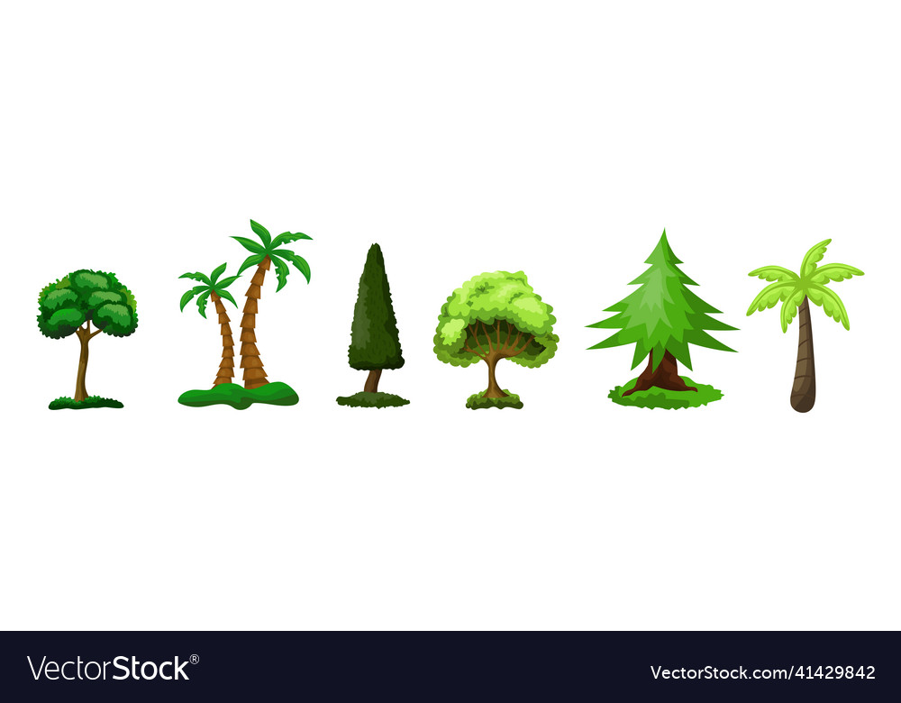Set of 6 different trees on a white background