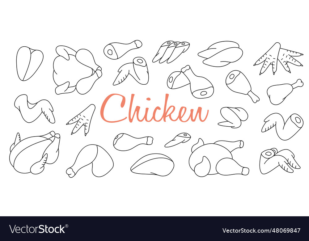 Chicken meats outline sketch set butcher shop Vector Image