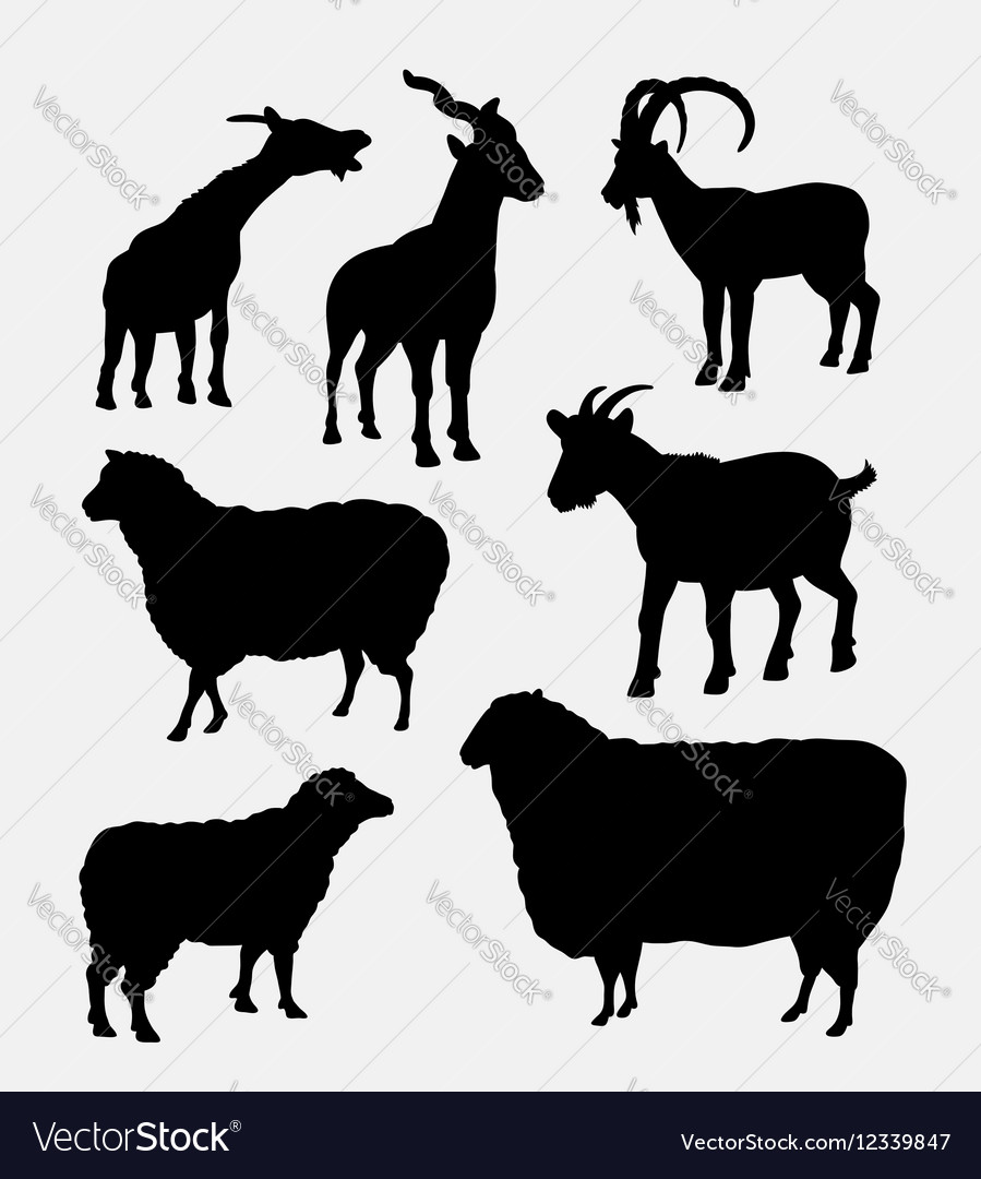 Goat and sheep pet animal silhouette