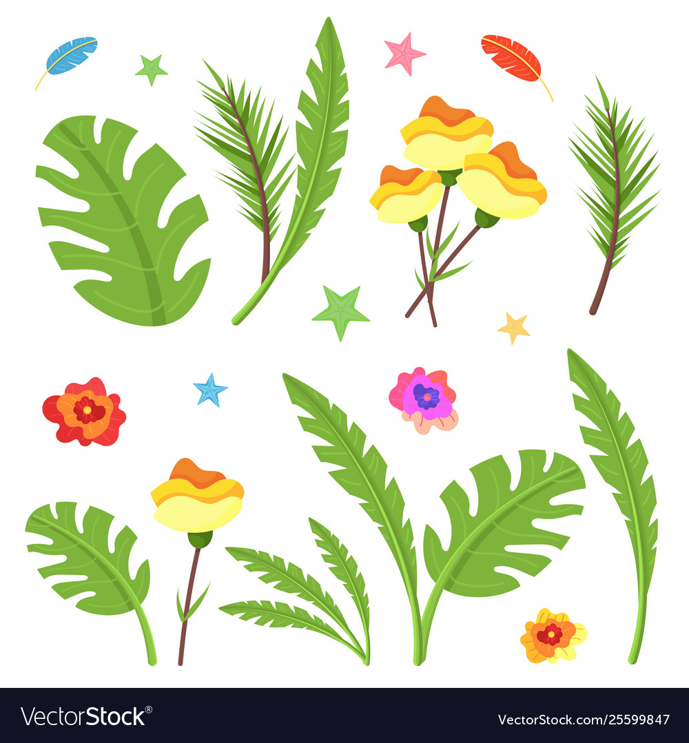 Summer tropical leaves flowers set