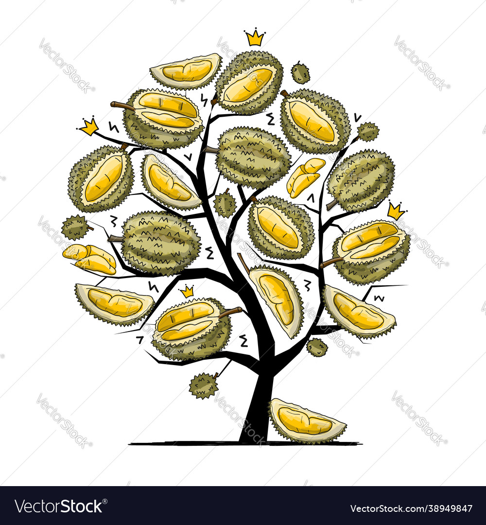 Tree with durians sketch for your design