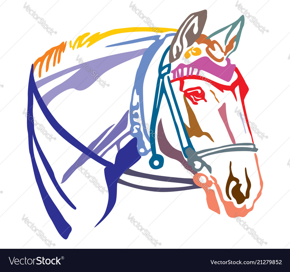 Colorful Decorative Portrait Of Horse With Bridle Vector Image