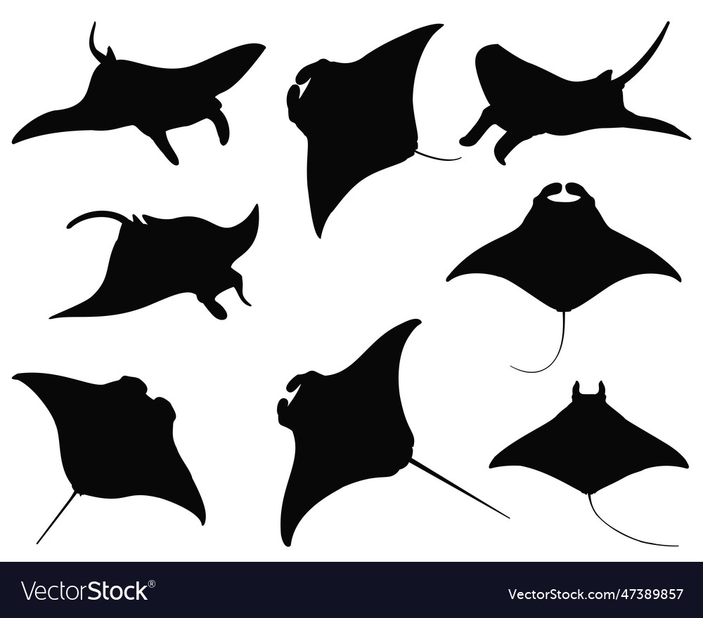 Manta ray silhouette bundle Royalty Free Vector Image