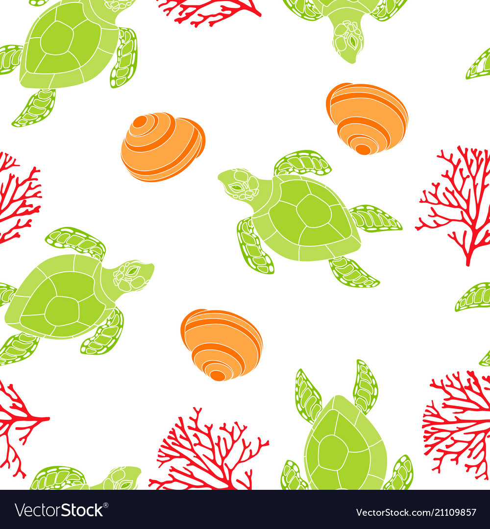 Seashell Turtle Pattern
