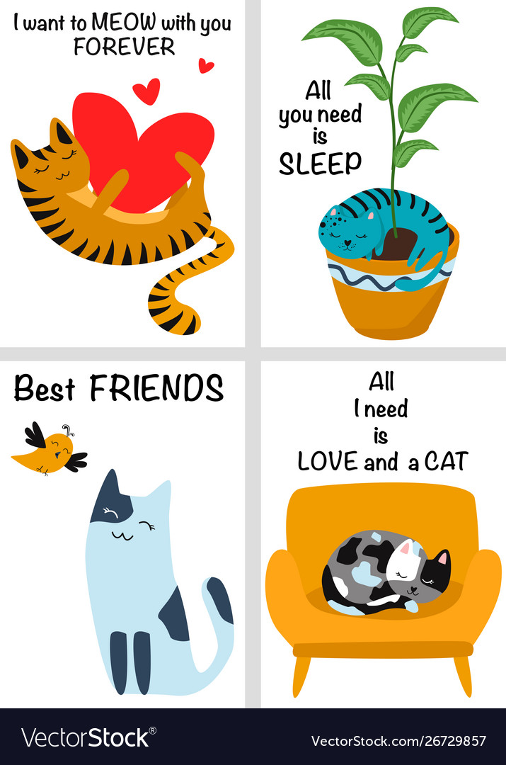Set cards with a cat part 1