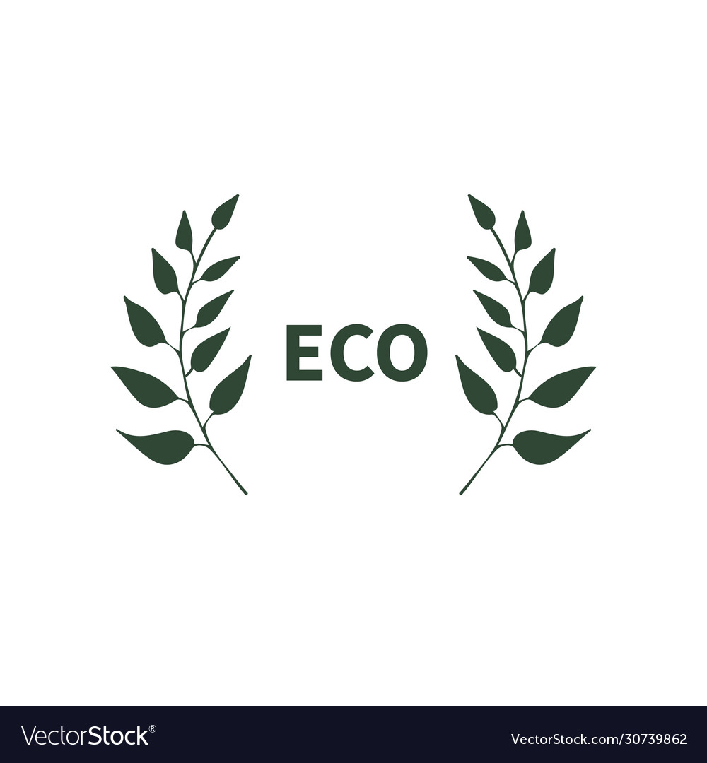 Eco banner with two branches symbol logo emblem vector image Eco banner with two branches symbol logo emblem