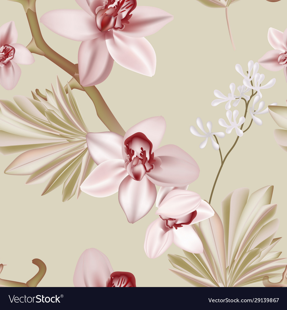 Floral boho style orchid soft green pink vector image Floral boho style orchid soft green pink