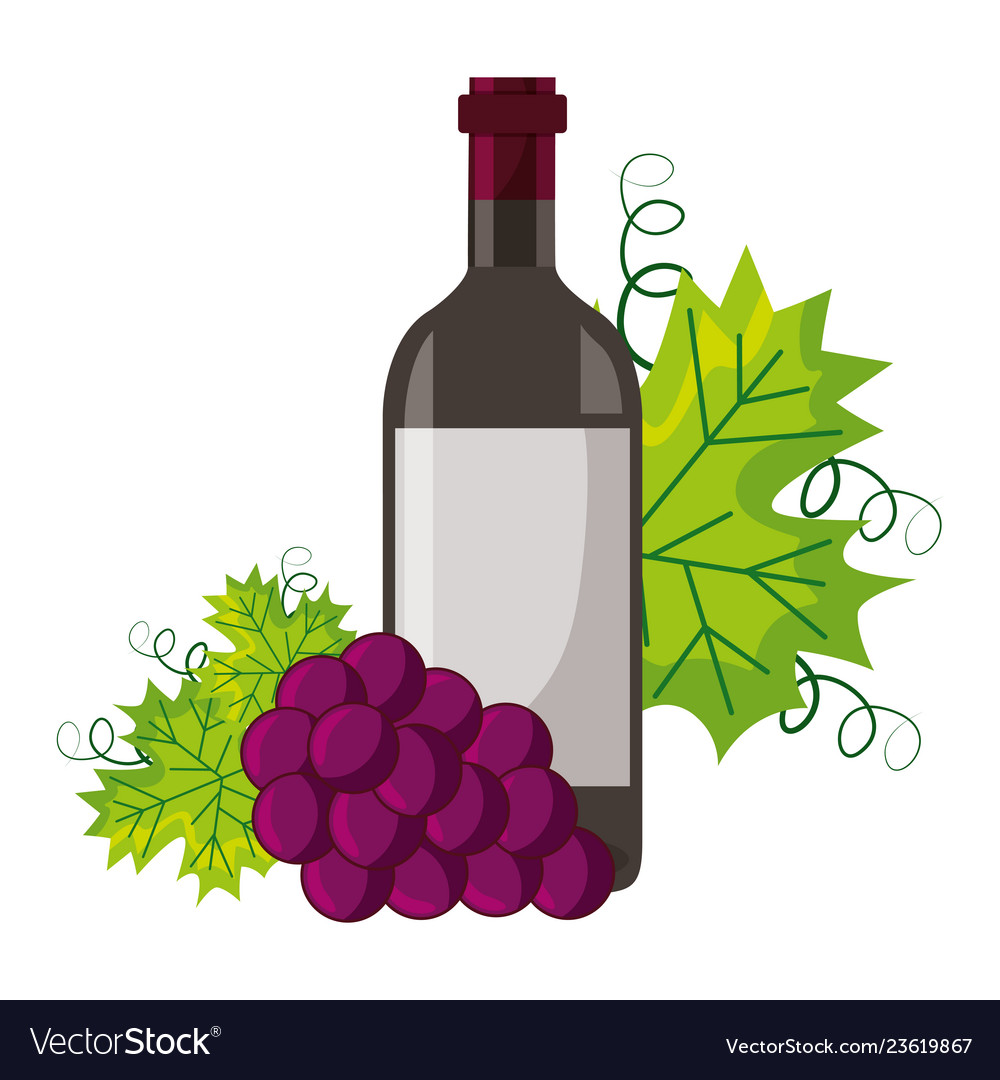 Wine bottle bunch fresh grapes Royalty Free Vector Image