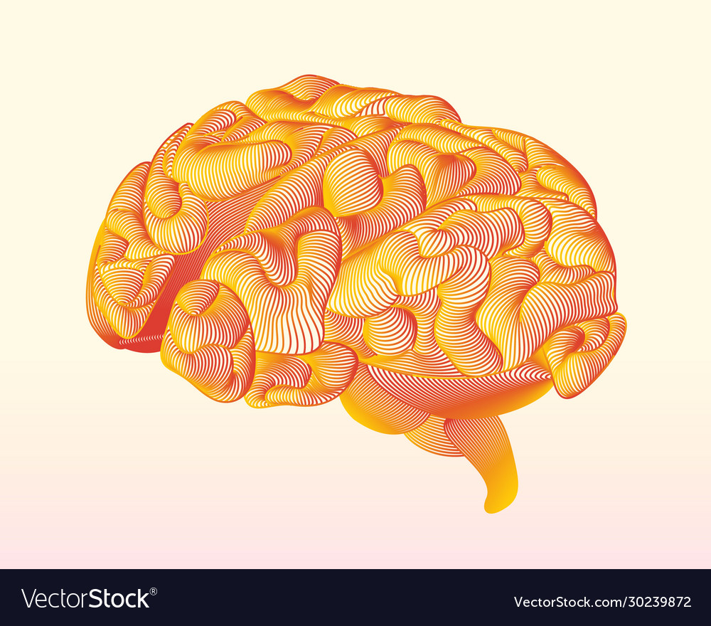 Abstract line brain on a light background can use