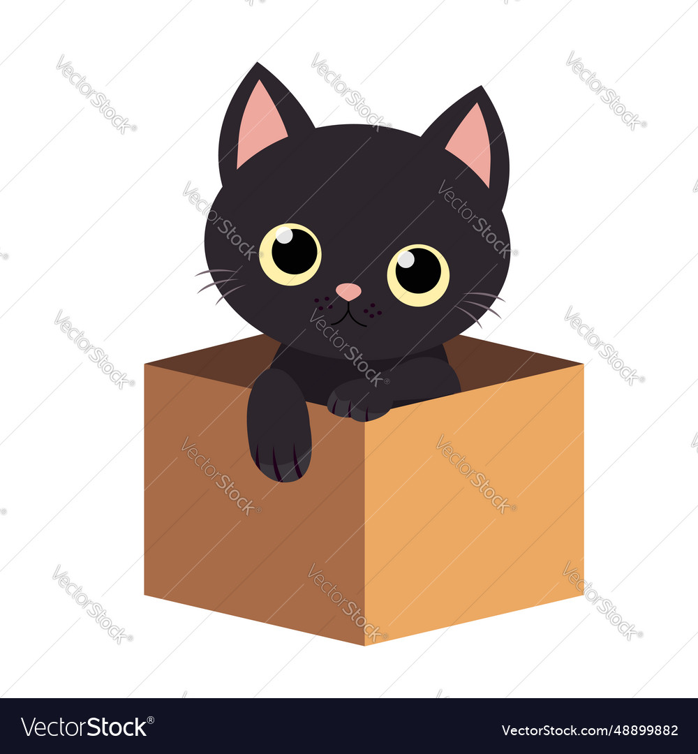 Black cat inside opened cardboard package box Vector Image