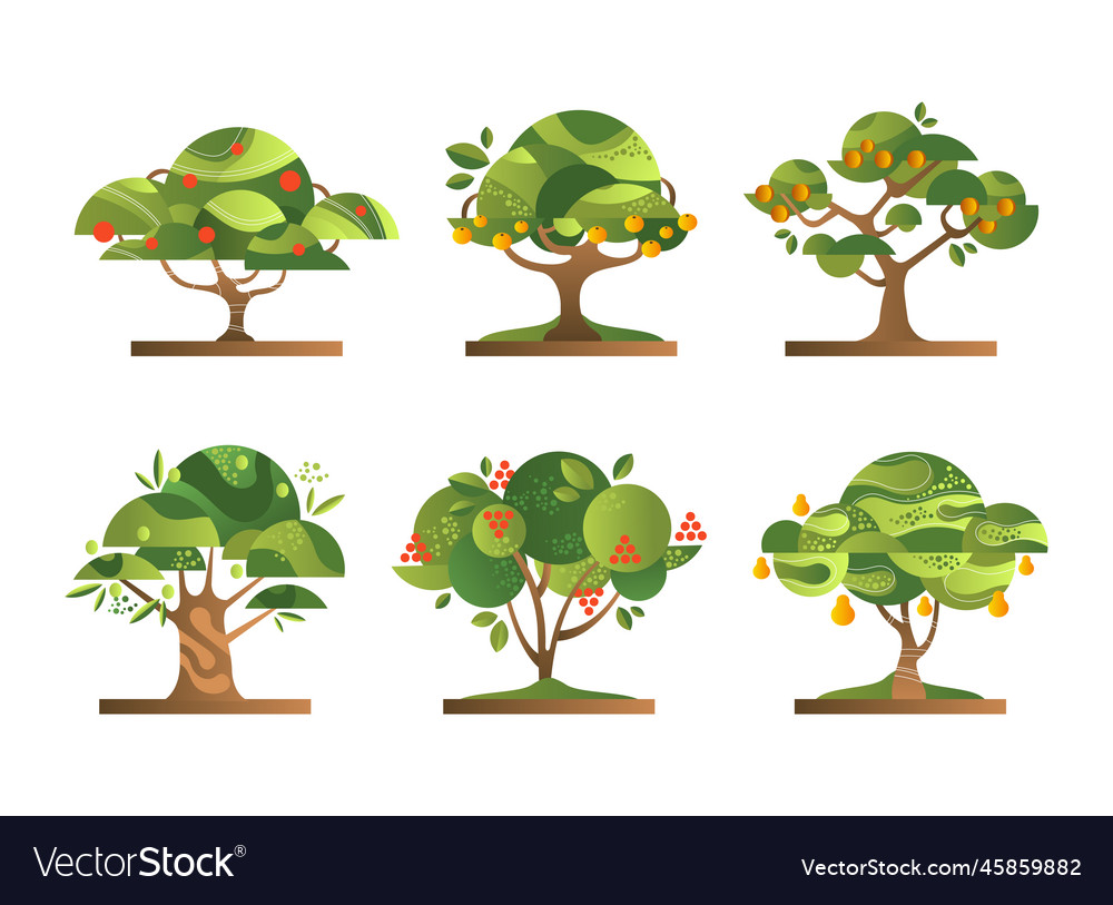 Different fruit trees with green crown and trunk Vector Image