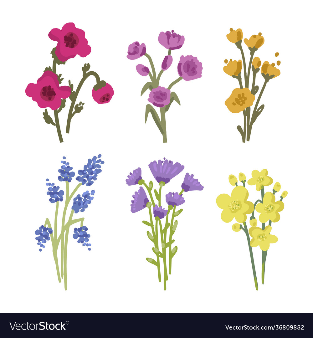 Hand drawn flowers collection Royalty Free Vector Image