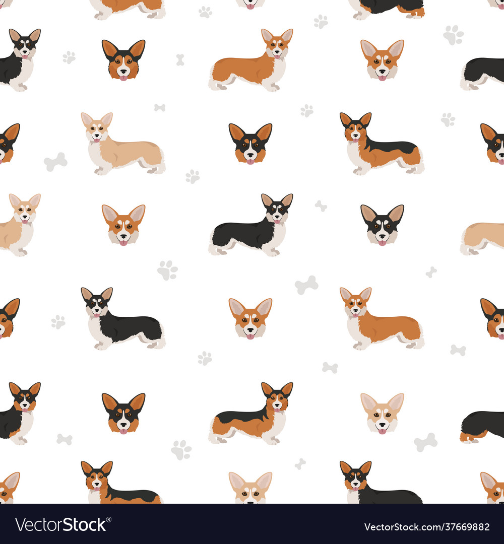 Welsh corgi pembroke seamless pattern different