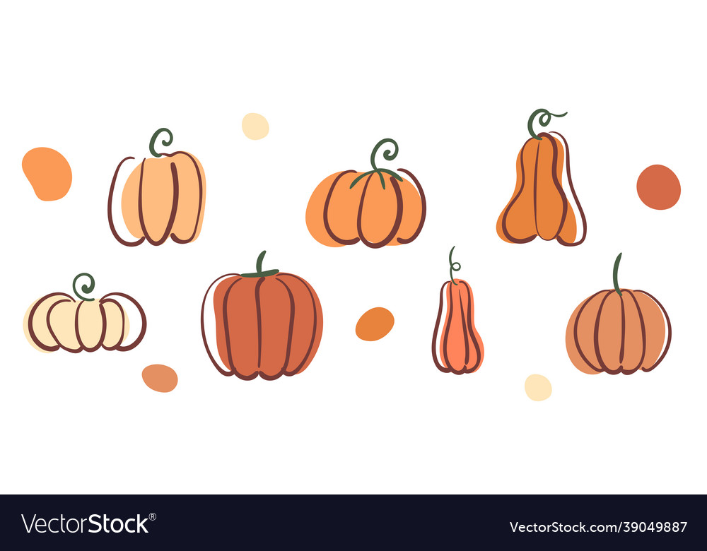 Set of stylized decorative pumpkins vector image Set of stylized decorative pumpkins