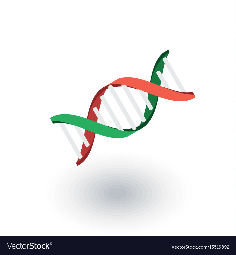 Dna Science Genetic Molecule Biology Isometric Vector Image Dna Science Genetic Molecule Biology Isometric Vector Image