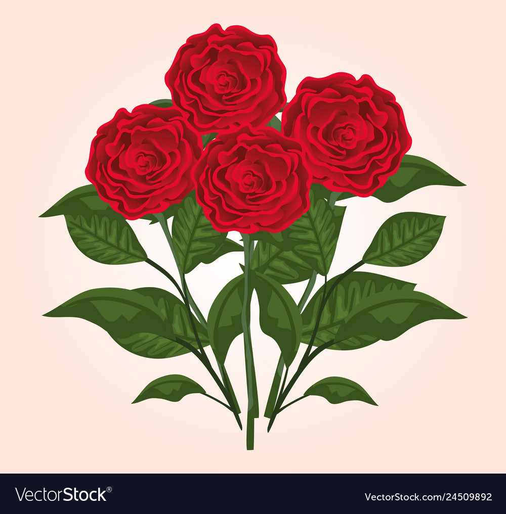 Featured image of post Rose Plants Vector : Download transparent flowers vector png for free on pngkey.com.