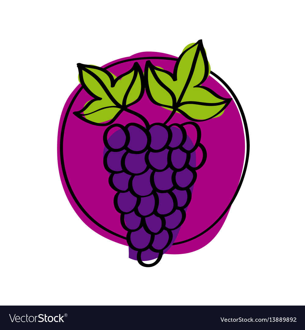 Healthy fruit icon