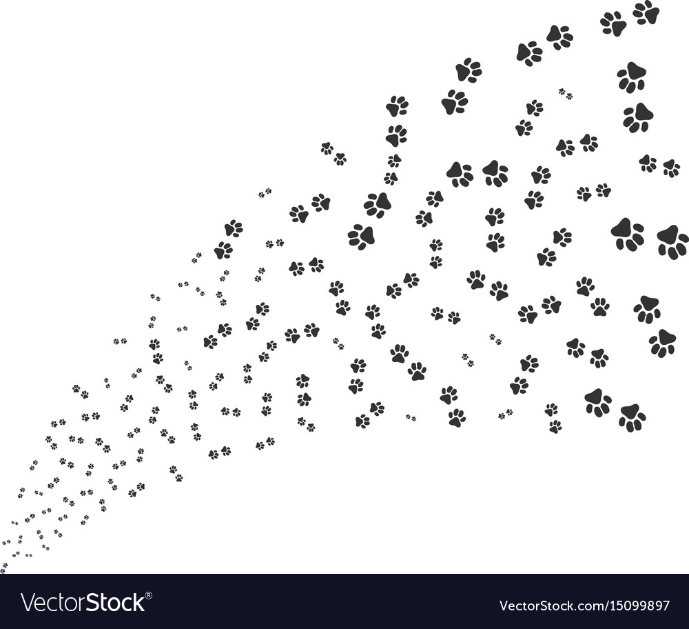 Paw footprints source stream