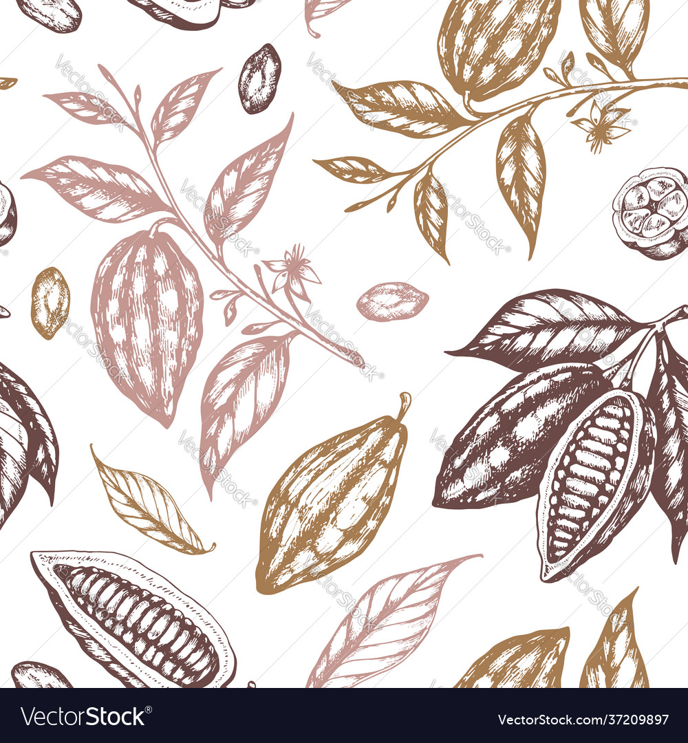 Seamless pattern with cocoa beans