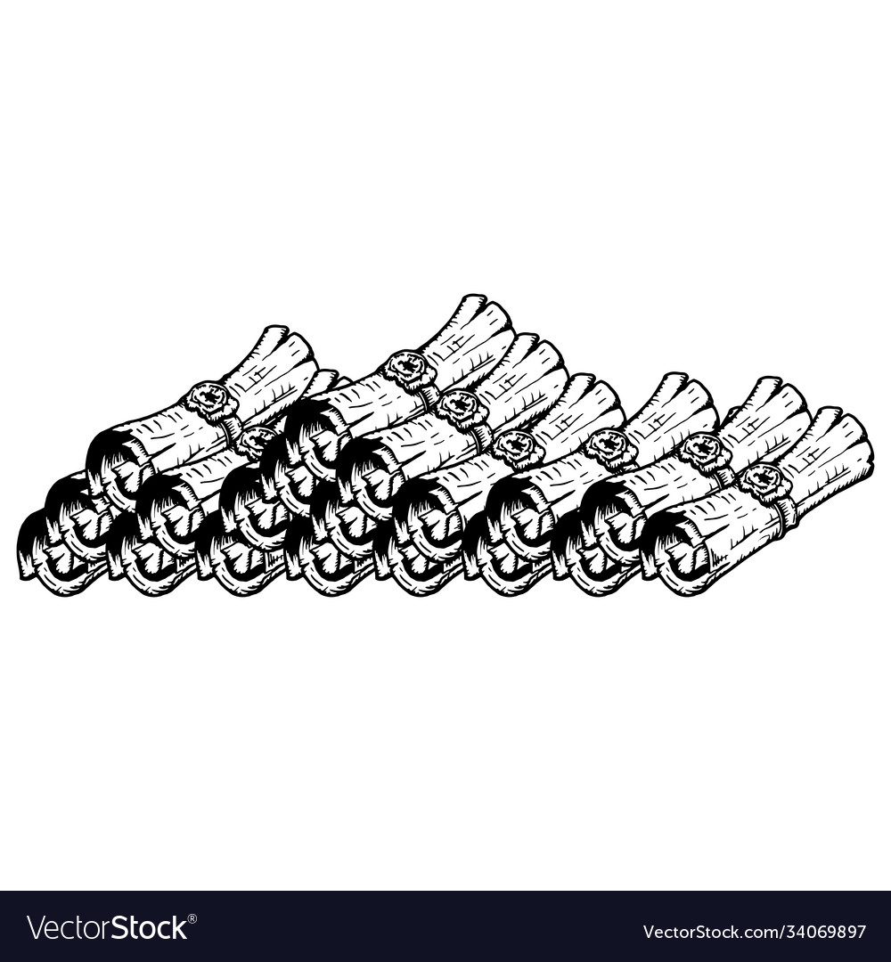 Set scrolls old scroll twisted into a roll vector image Set scrolls old scroll twisted into a roll