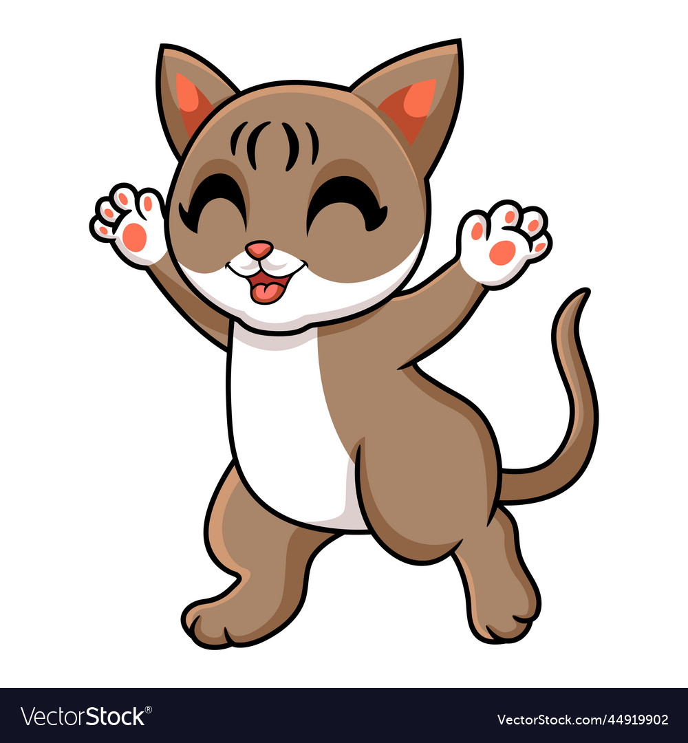 Cute singapura cat cartoon walking Royalty Free Vector Image