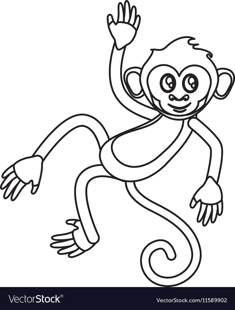 Isolated monkey cartoon design