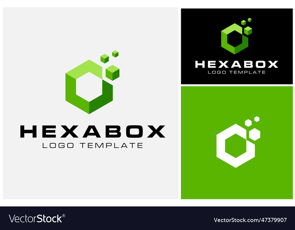 Digital data hexagon with 3d box cube pixel logo