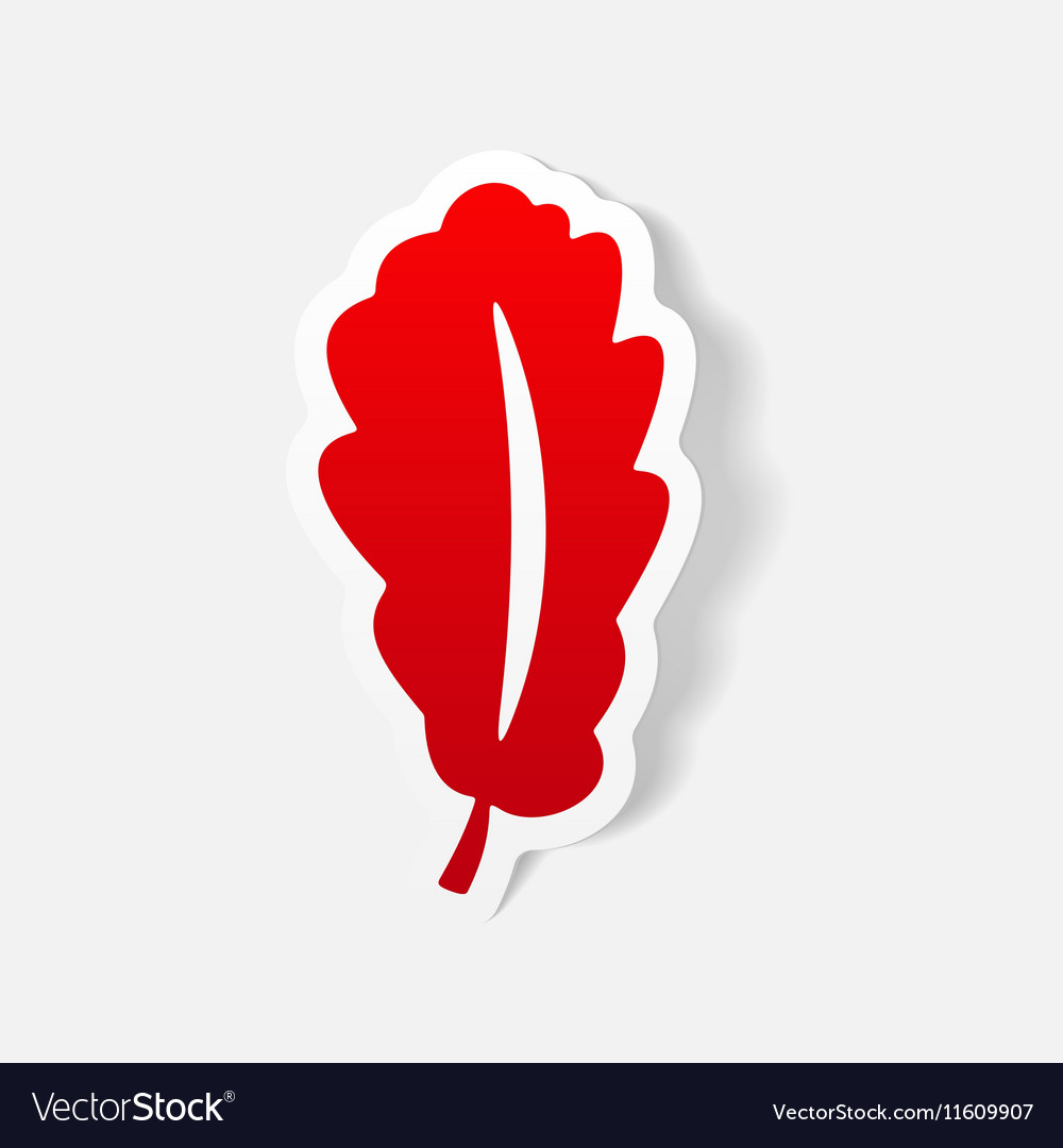 Realistic design element leaf