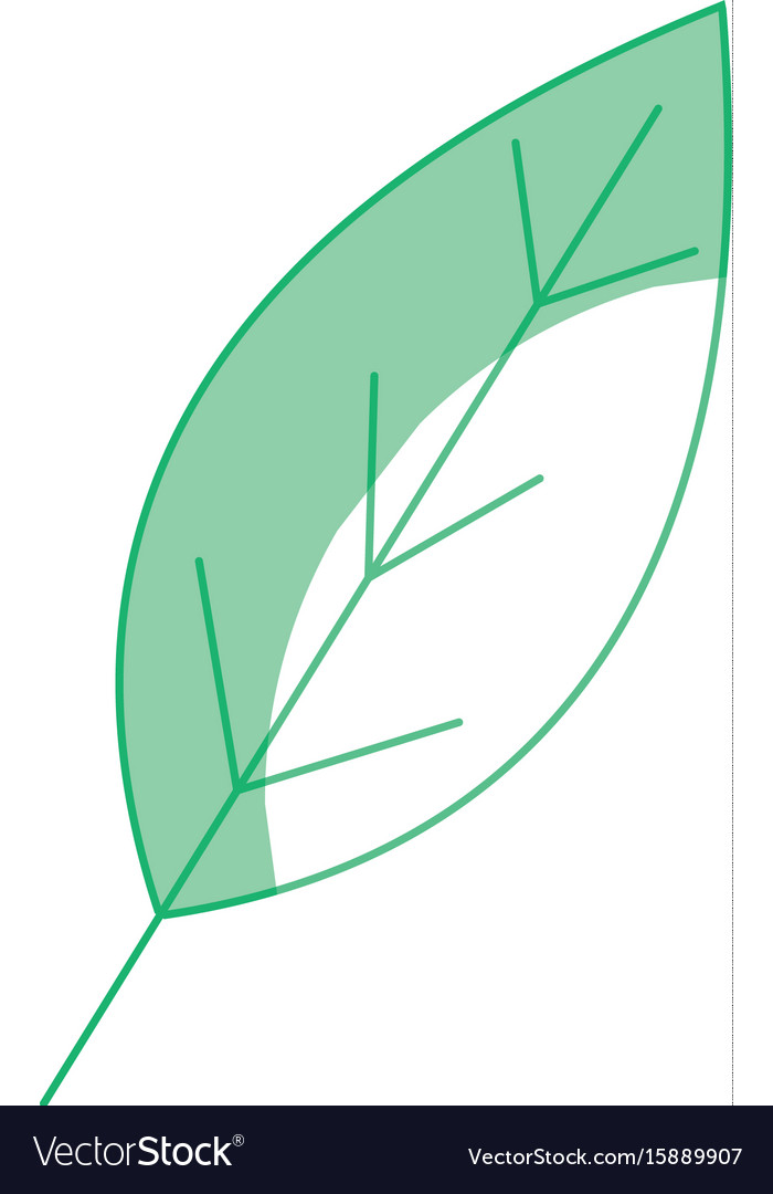 Silhouette natural leaf symbol to conservation the