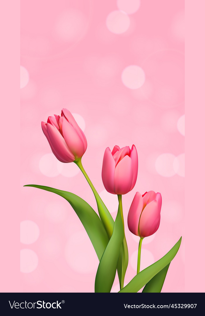 Spring background with realistic tulip flowers