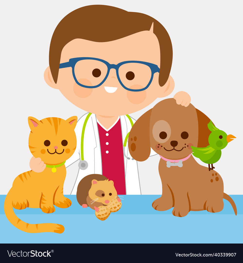 Veterinarian and pets Royalty Free Vector Image