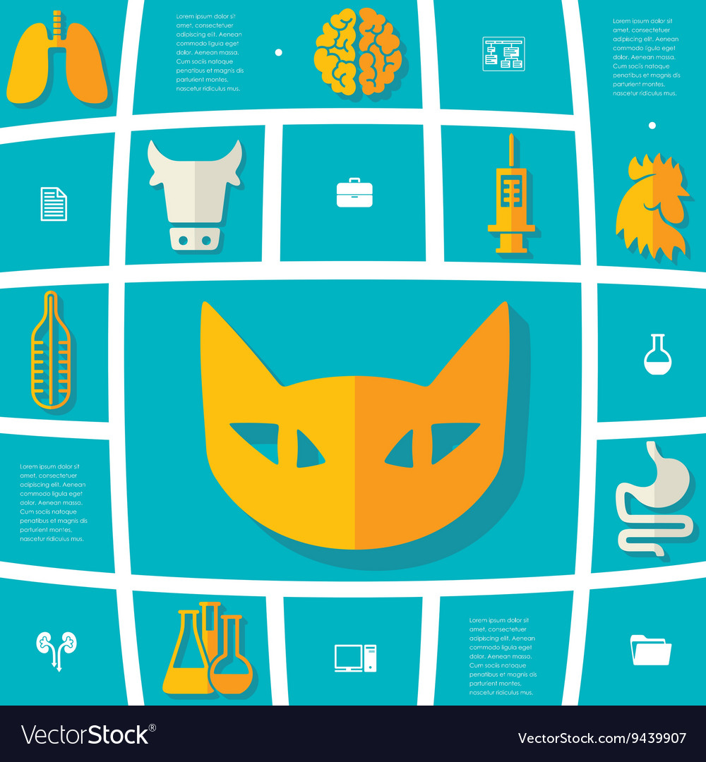 Veterinary flat infographic