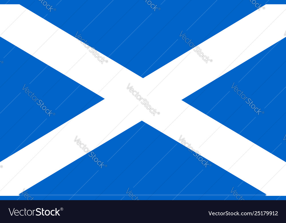 Flag rectangular shape Royalty Free Vector Image