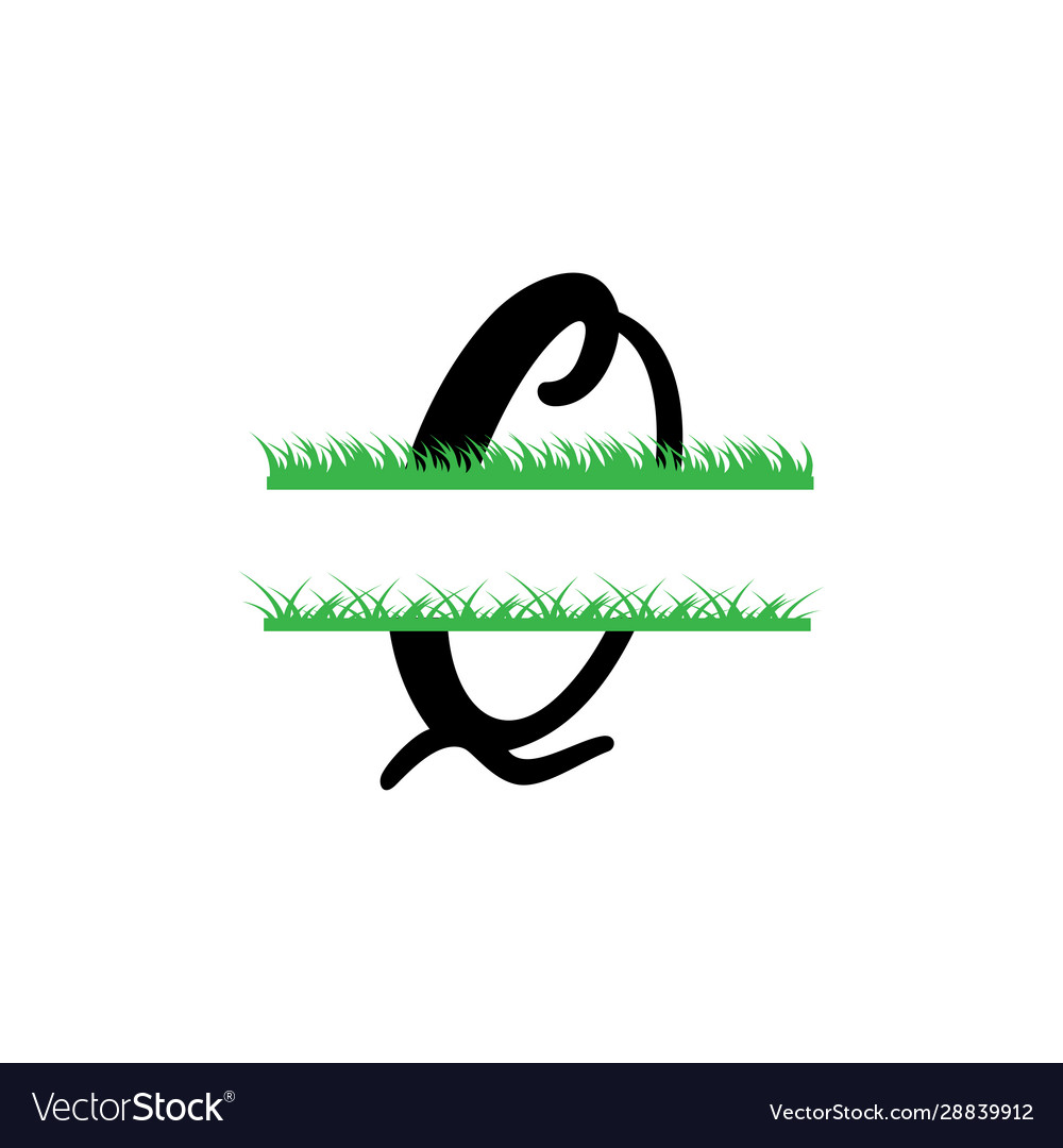 Initial q grass monogram split letter isolated