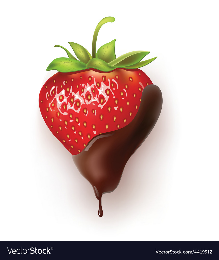 Strawberry chocolate Royalty Free Vector Image