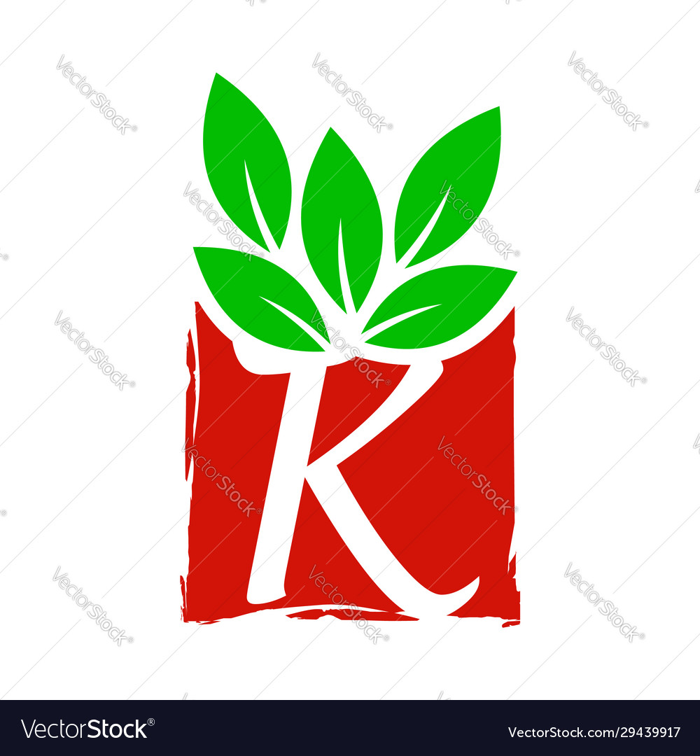 Abstract square leaf initial k