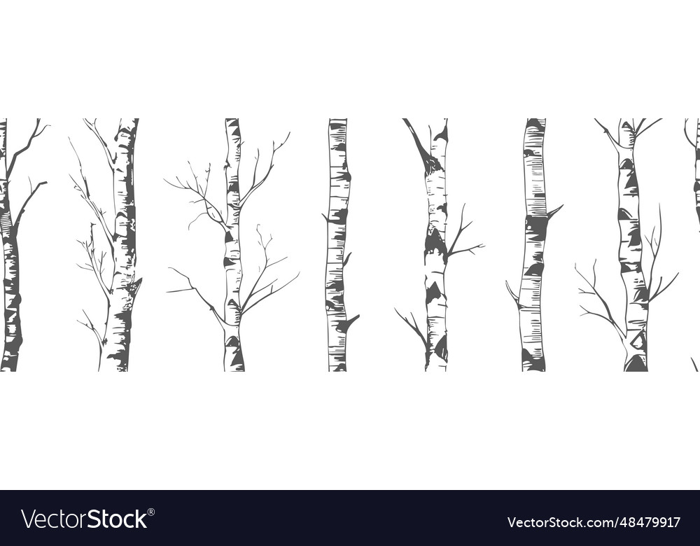 Birch Trunks Seamless Pattern