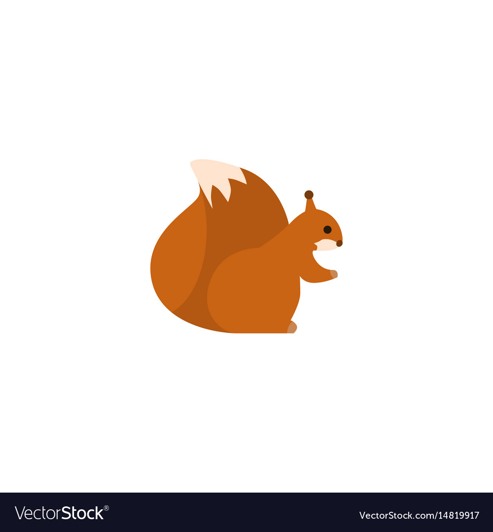 Flat squirrel element of
