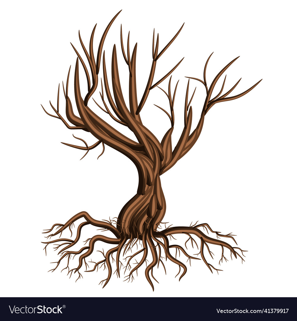 Image isolated on white background tree branch